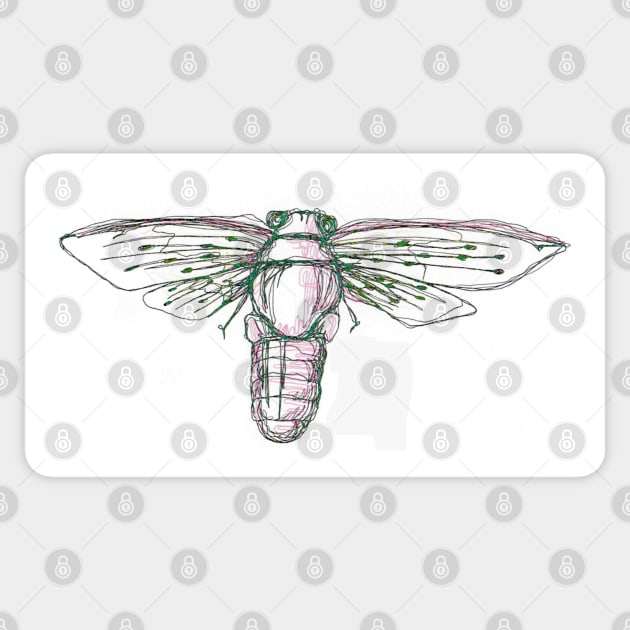 Cicada Sticker by Art of V. Cook